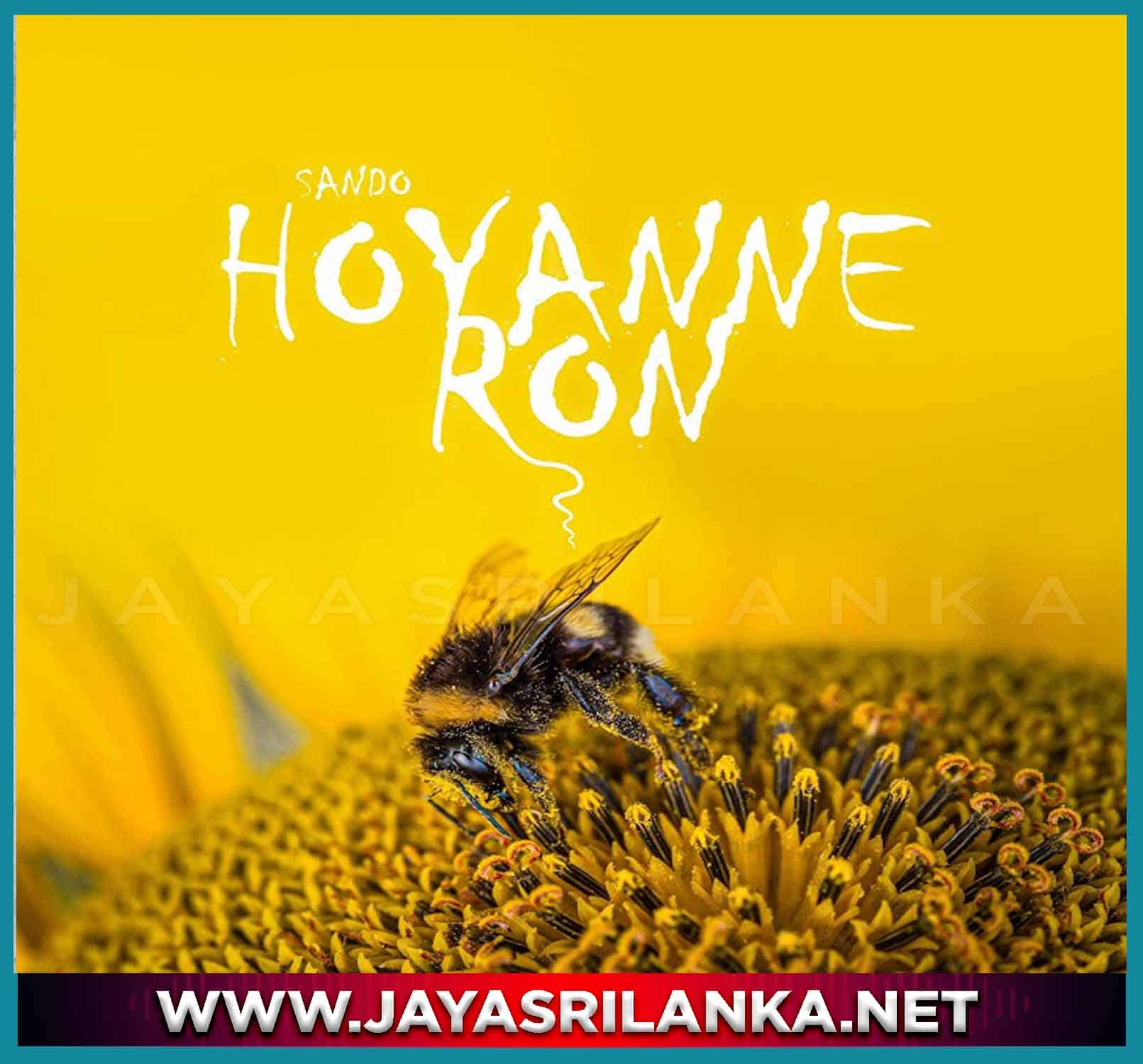 Hoyanne Ron