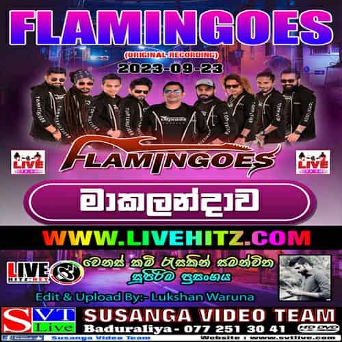 Ahungalla Flamingoes Live In Makalandara 2023-09-23 Live Show Image