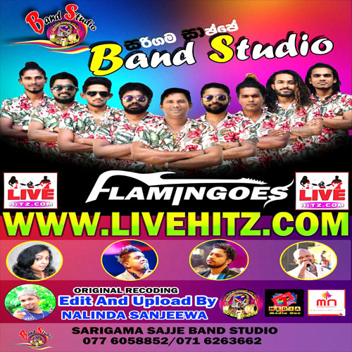 Ahungalla Flamingoes Live In Sarigama Sajje Band Studio 2020-07-04 Live Show Image