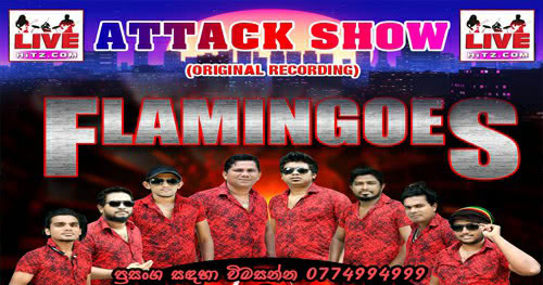 Ahungalle Flamingoes Vs Delighted Attack Show Live In Eheliyagoda 2020-01-26 Live Show Image
