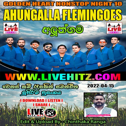 Ahungalle Flemingoes Live In Aluthgama 2022-04-15 Live Show Image