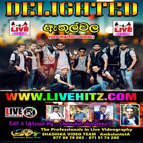 Hindi Song - Delighted Mp3 Image