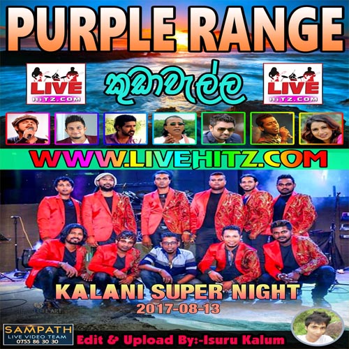 Ruwan Srilal Songs Nonstop - Purple Range Mp3 Image