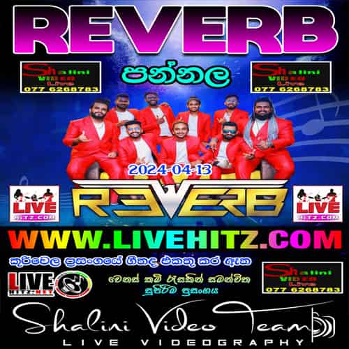 Reverb Live In Pannala 2024-04-13 Live Show Image