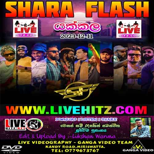 DJ Style Songs - Sahara Flash Mp3 Image