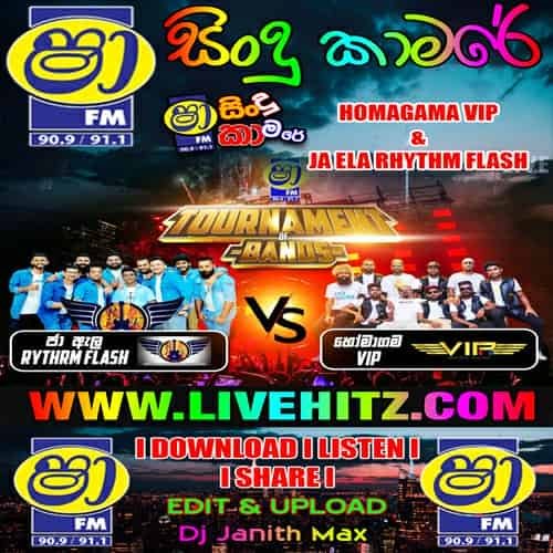 DJ Style Nonstop - Homagama Vip Mp3 Image