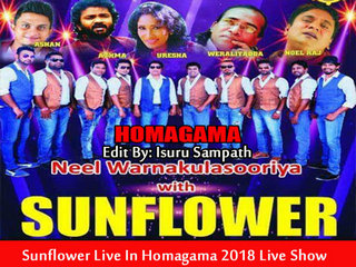 Sunflower Live In Homagama 2018 Live Show Image